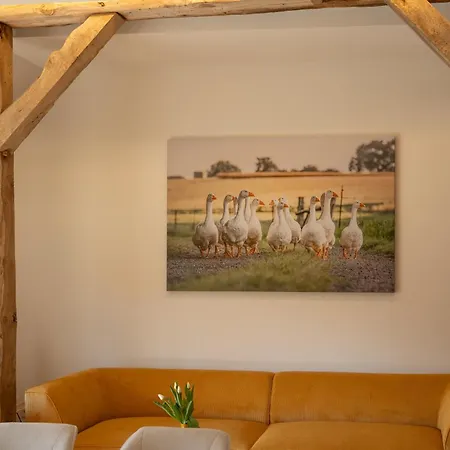 Reethus 22 Loft 4 * Timmendorfer Strand